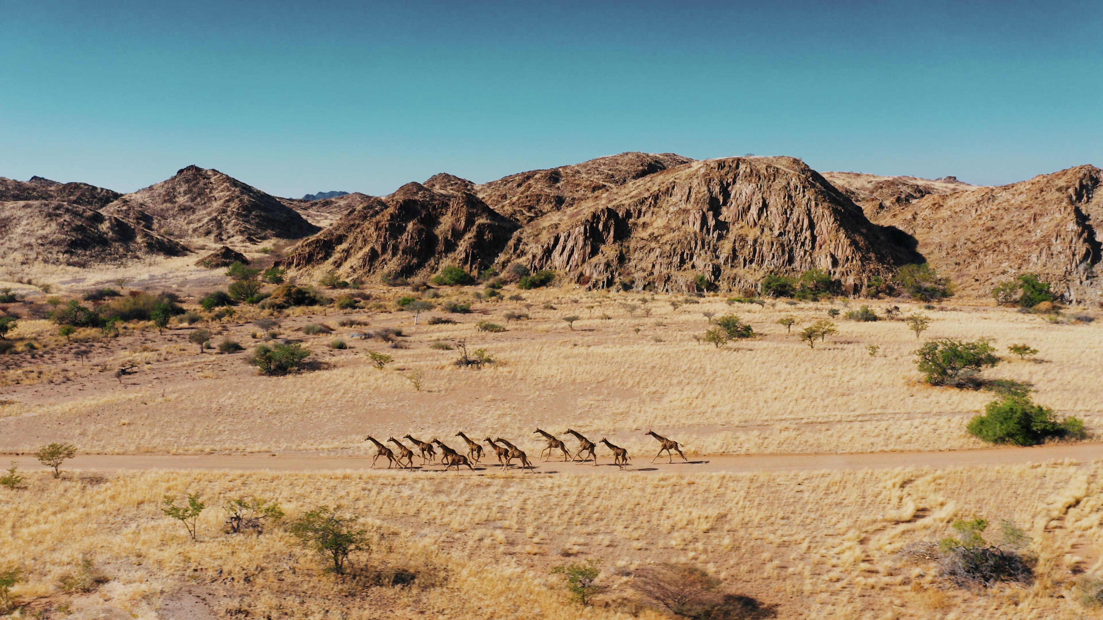 Senza giustizia tra specie non sopravviveremo