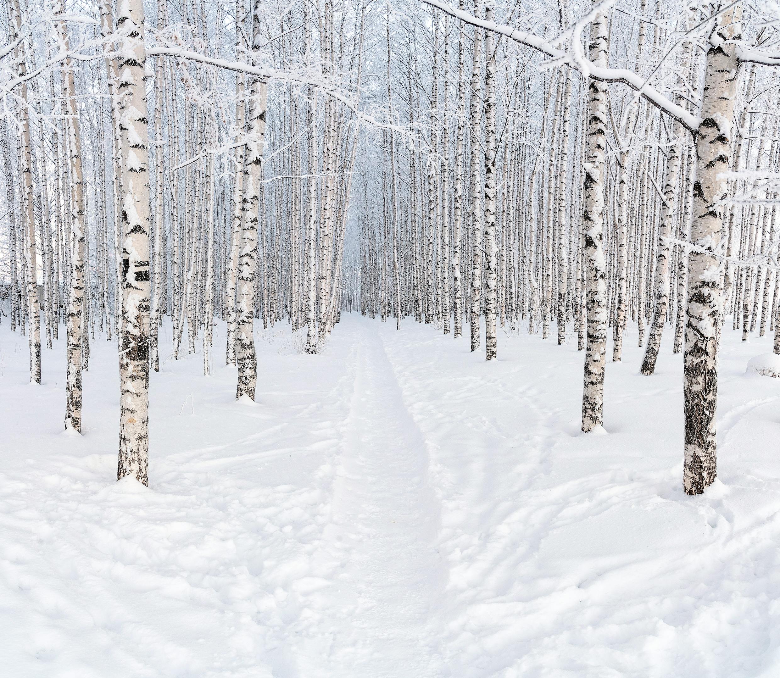 La memoria del Mondo