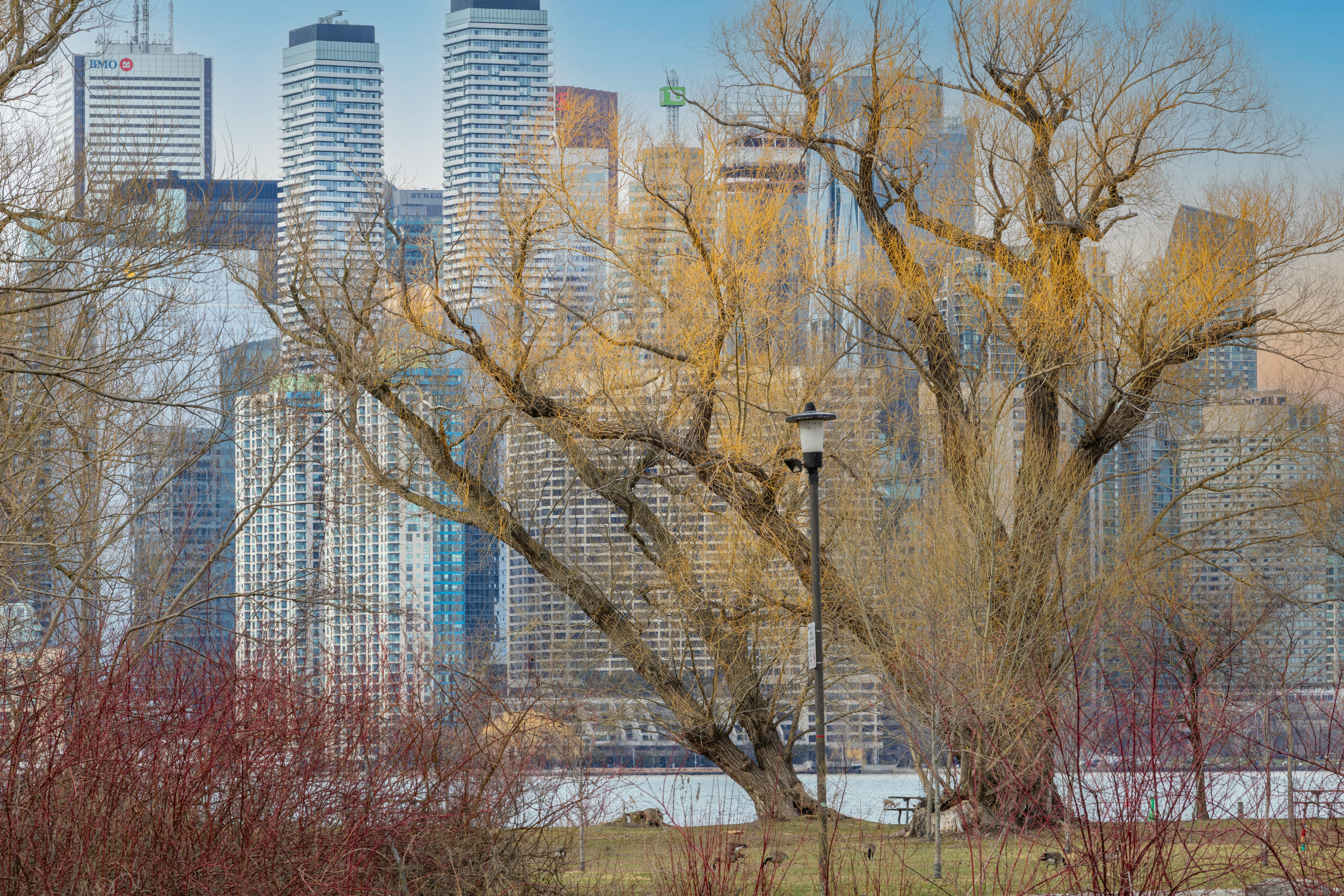 In Antropocene la democrazia non può che essere socialista