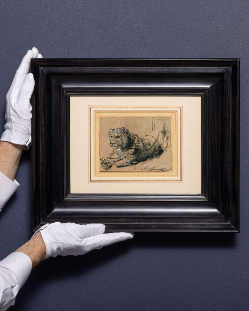 La storia dei leoni del Capo di Buona Speranza (Sudafrica) finiti ad Amsterdam e dipinti da Rembrandt si chiude con la vendita all'asta di quei disegni del Grande Maestro Olandese, per finanziare la conservazione del leone africano, oggi in estinzione.