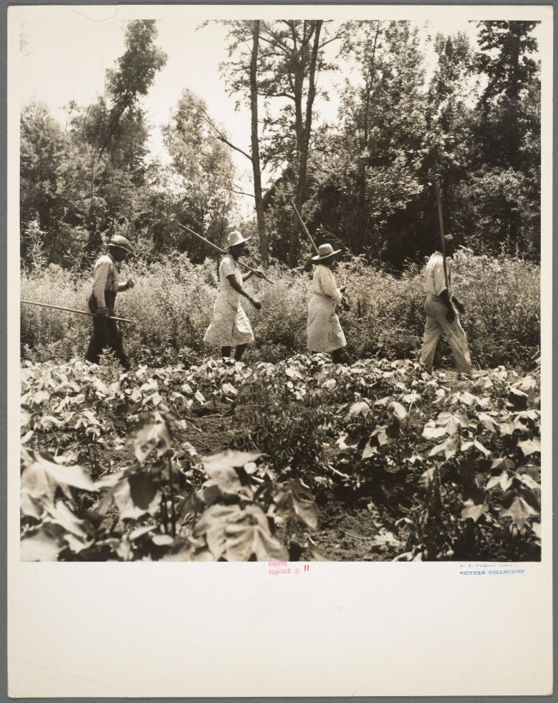  Ecologie del potere: la guerra in Iran come ciclo storico che si ripete