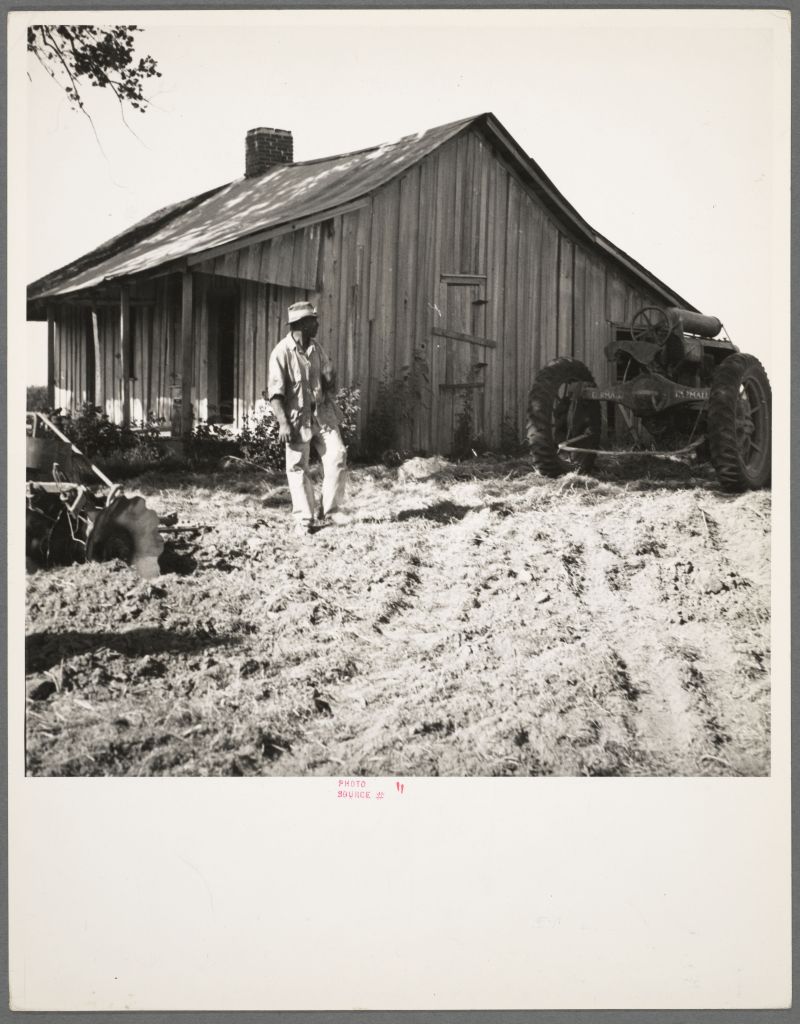  Ecologie del potere: la guerra in Iran come ciclo storico che si ripete